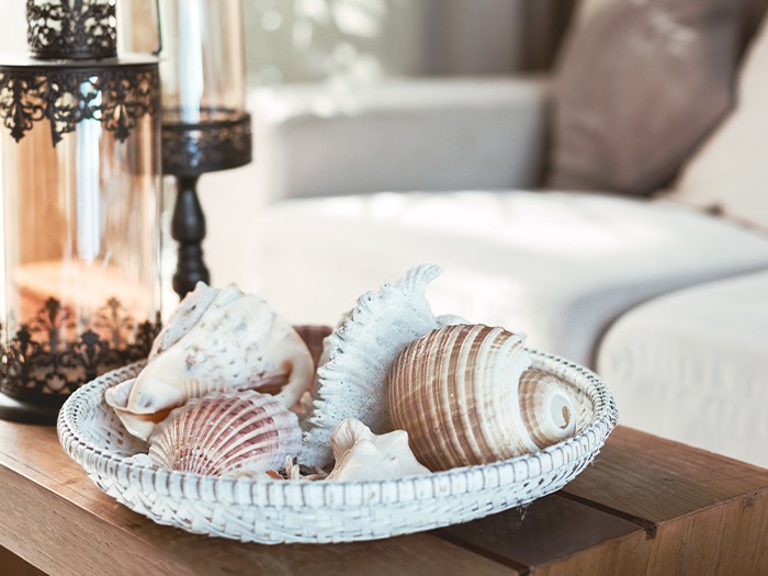 Seashells in a basket
